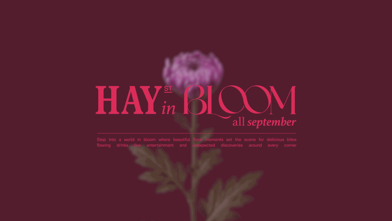 Hay in Bloom festival banner